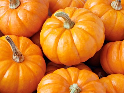 Pumpkin Spice Facial – $20 OFF